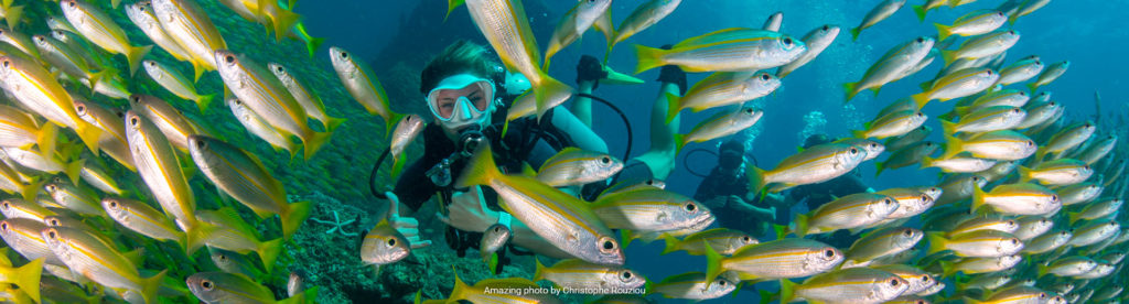 Diving Koh lanta. Buceo Koh Lanta. Hidden Depths Diving